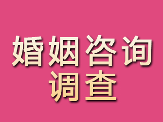 惠民婚姻咨询调查