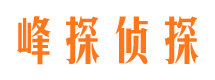 惠民市私家侦探公司